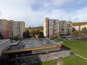 Pronájem bytu 2+1, Chomutov, Dřínovská, 61 m2