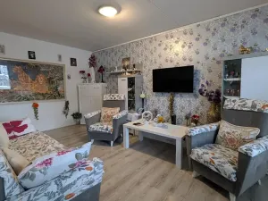 Prodej bytu 2+kk, Most, Lipová, 50 m2