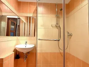 Prodej bytu 4+1, Krnov, SPC S, 81 m2