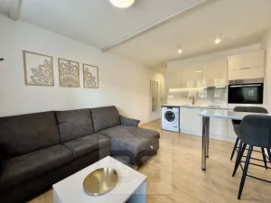 Pronájem bytu 1+kk, Zlín, Ševcovská, 30 m2