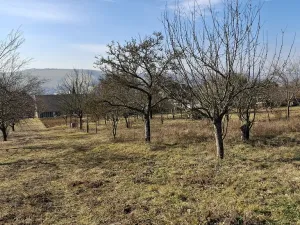 Prodej rodinného domu, Boršice, 280 m2