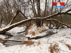 Prodej rybníku, Dolní Hořice - Pořín, 8552 m2