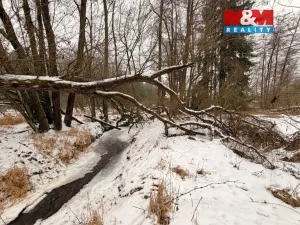 Prodej rybníku, Dolní Hořice - Pořín, 8552 m2