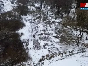 Prodej rybníku, Dolní Hořice - Pořín, 8552 m2