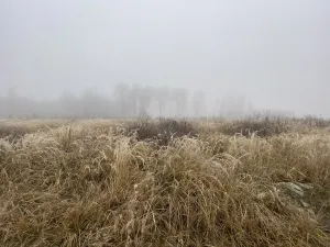 Prodej lesa, Městečko Trnávka - Lázy, 32904 m2