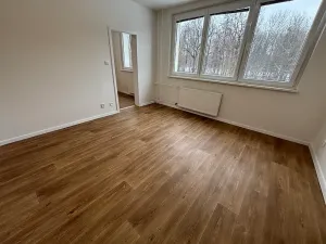 Pronájem bytu 2+1, Paskov, Papírenská, 45 m2