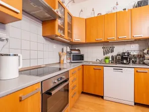 Prodej bytu 2+kk, České Budějovice, Dr. Stejskala, 77 m2