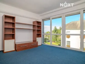 Prodej vícegeneračního domu, České Budějovice, Borovanská, 195 m2