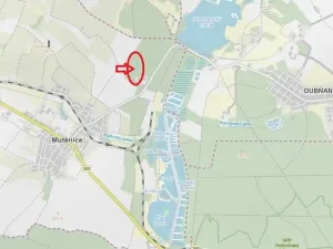 Prodej podílu lesa, Mutěnice, 1819 m2