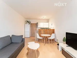 Pronájem bytu 1+kk, Olomouc, Věry Pánkové, 36 m2