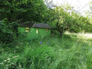 Prodej zahrady, Černovice - Panské Mlýny, 4180 m2