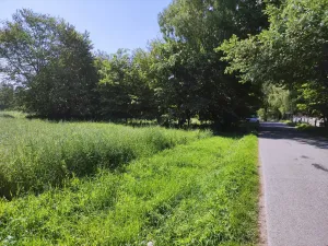 Prodej zahrady, Černovice - Panské Mlýny, 4180 m2