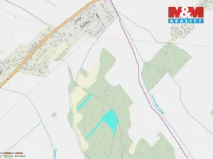 Prodej lesa, Svatý Mikuláš, 20624 m2