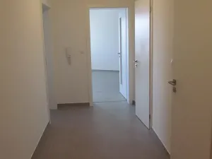 Prodej kanceláře, Praha - Žižkov, Olgy Havlové, 71 m2