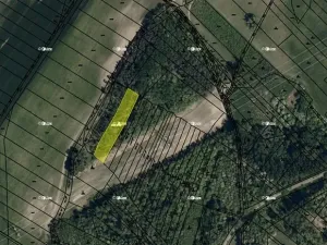 Prodej lesa, Dubňany, 5378 m2