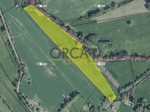 Prodej pozemku pro bydlení, Velké Chvojno, 31064 m2