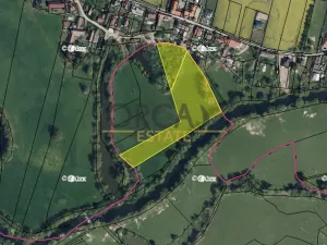 Prodej louky, Běleč nad Orlicí, 15624 m2