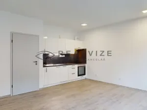 Pronájem bytu 2+kk, České Budějovice, Puklicova, 50 m2