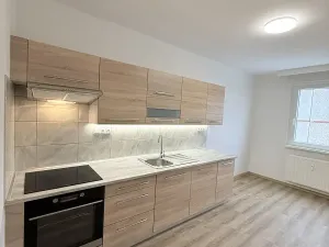 Pronájem bytu 4+1, Liberec, Dobiášova, 104 m2