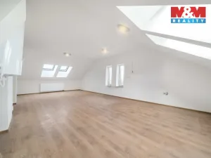 Prodej bytu 3+kk, Plešnice, 110 m2