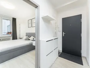 Prodej bytu 2+1, Hradec Králové - Pražské Předměstí, U Koruny, 60 m2