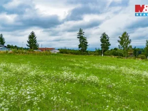 Prodej pozemku pro bydlení, Trhové Sviny, Rejta, 762 m2