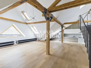 Pronájem bytu 4+kk, Praha - Bubeneč, Jaselská, 192 m2