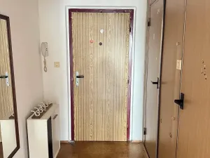 Prodej bytu 1+kk, Ostrava, Gen. Píky, 29 m2