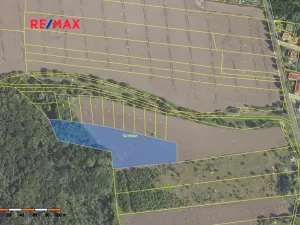 Prodej podílu pole, Bořanovice, 3949 m2