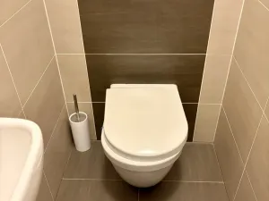 Pronájem bytu 3+kk, Pardubice - Zelené Předměstí, Boženy Vikové-Kunětické, 77 m2