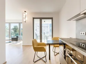 Pronájem bytu 1+kk, Praha - Karlín, Breitfeldova, 40 m2