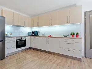 Pronájem bytu 2+kk, Brno, Cejl, 58 m2