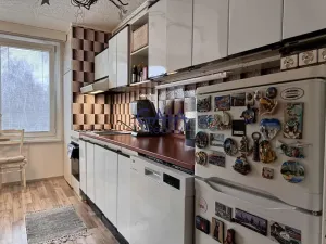 Prodej bytu 3+1, Hodonín, Lužní, 68 m2