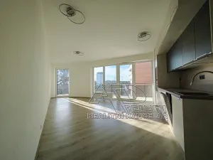 Pronájem atypického bytu, České Budějovice, Na Zlaté stoce, 54 m2