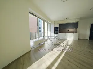 Pronájem atypického bytu, České Budějovice, Na Zlaté stoce, 54 m2