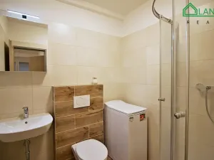 Pronájem bytu 1+kk, Brno, Francouzská, 31 m2