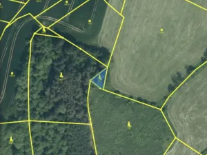 Prodej lesa, Čepřovice, 193 m2
