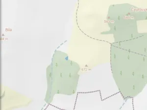 Prodej lesa, Čepřovice, 193 m2