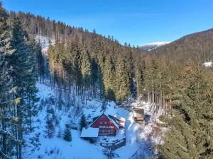 Prodej chalupy, Vítkovice, 500 m2