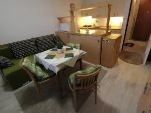 Pronájem bytu 1+1, Praha - Kamýk, Rabyňská, 39 m2