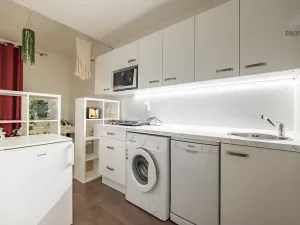 Prodej bytu 1+kk, Brno, U Leskavy, 34 m2