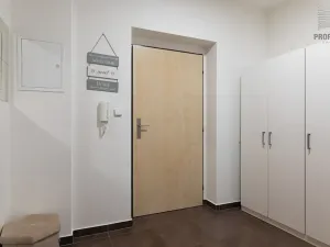 Prodej bytu 1+kk, Brno, U Leskavy, 34 m2