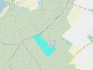 Prodej lesa, Domanín, 106026 m2