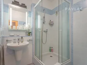 Prodej bytu 1+kk, Frymburk, 22 m2