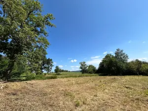 Prodej pozemku pro bydlení, Horní Planá, 4593 m2