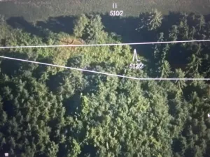 Prodej lesa, Čepřovice, 982 m2