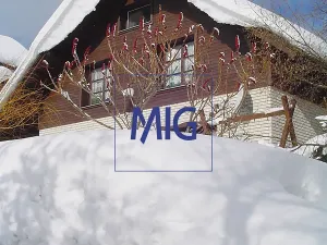 Prodej rodinného domu, Vysoké nad Jizerou, 204 m2