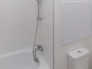 Prodej bytu 1+kk, Ostrava - Moravská Ostrava, Ahepjukova, 26 m2