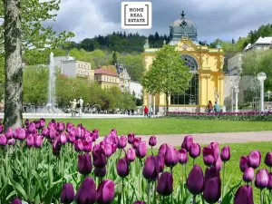 Prodej ubytování, Mariánské Lázně, Křižíkova, 700 m2