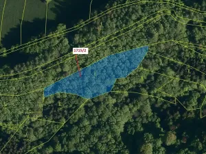 Dražba lesa, Valašská Polanka, 2632 m2